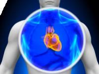 gyógynövények a szív és a tüdő egészségére magas vérnyomás fülfájás